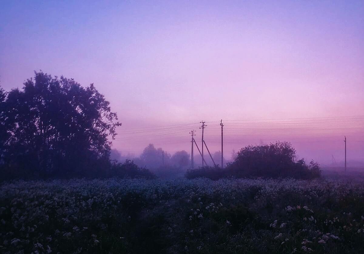 官方:津门虎与方镜淇、哈达斯、黄嘉辉、王献钧完成续约